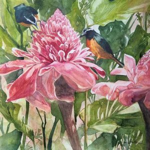 Bananaquits on Torch Ginger