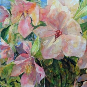 Hellebore