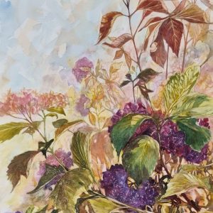 Hydrangea