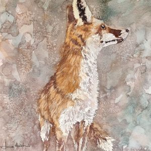 Mr Fox
