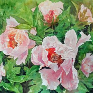 Peony Tree