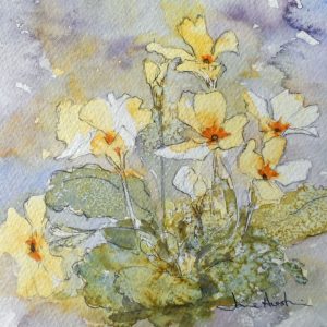 Primrose