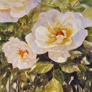 Yorkshire Rose
