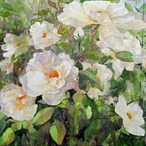 Smell the Roses