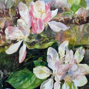 Apple Blossom