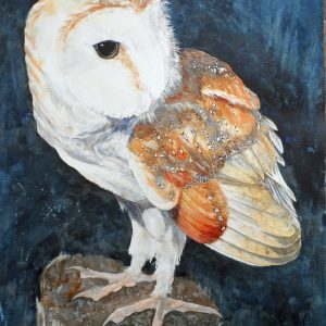 Tyto Alba