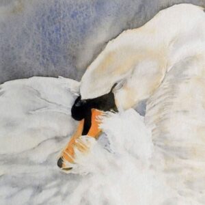 And Sleep....