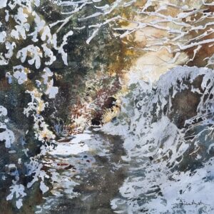 Snow Walk in Shibden
